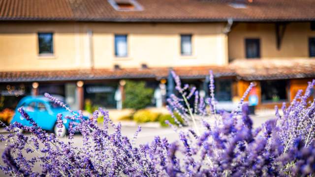 L'Auberge Bressane de Buellas in de Ain bloem